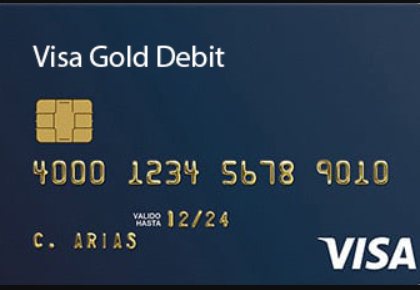 USA VISA [DEBIT] | $2500+ Balance