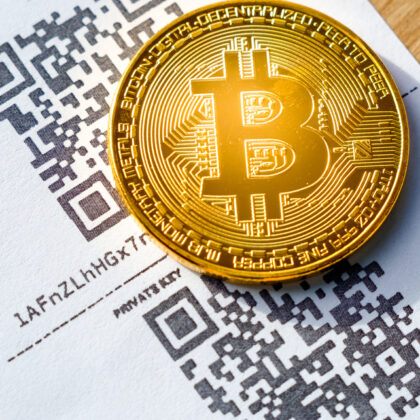 HOW TO CREATE A BITCOIN INVESTMENT WEBSITE & MAKE $$$